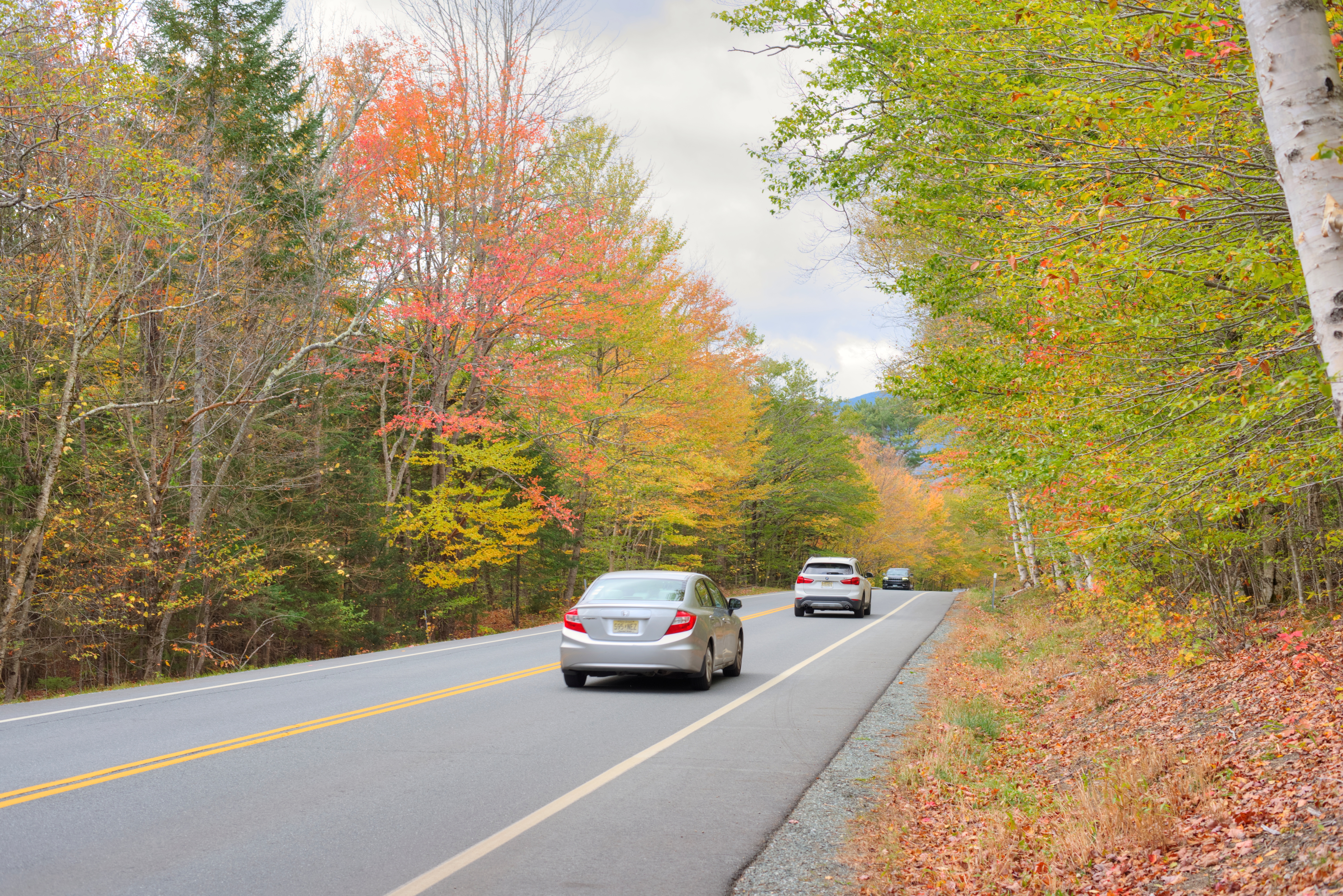 The route 100 in Vermont