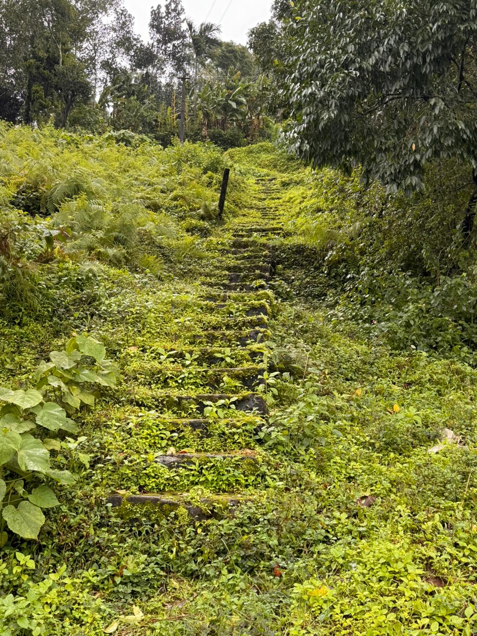 knock knock heavens road 