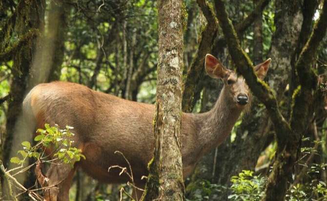 FIRST WILDLIFE EXPERIENCE