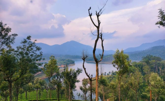 പെരിയാറിൻ്റെ തീരം തൊട്ട്  ഡാമുകൾ ചുറ്റിയോരു മൂന്നാർ യാത്ര #