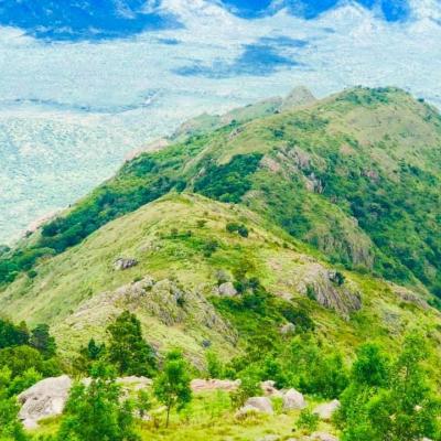 കോടനാട് വ്യൂ പോയിന്റ് 