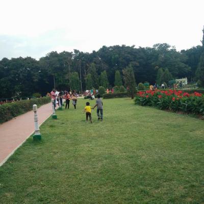 My first Mysore Trip