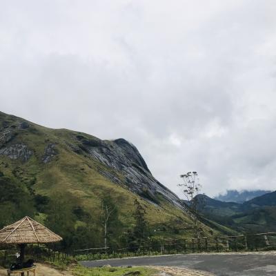 Eravikulam National Park Is open now !!!