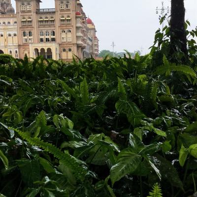 Mysore : The heritage City