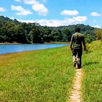 തേക്കടിയുടെ ഹൃദയം തേടി...