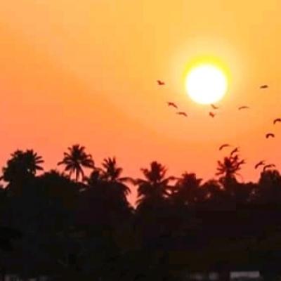 കടമക്കുടിയെ വെല്ലുന്ന മയക്കാഴ്ചകൾ 