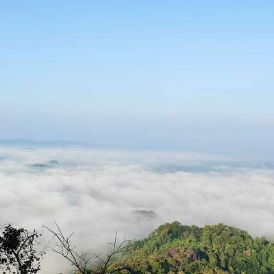 മണിയന്ദ്ര മലയിലെ മേഘപ്പാടങ്ങൾ 