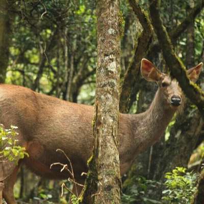 FIRST WILDLIFE EXPERIENCE