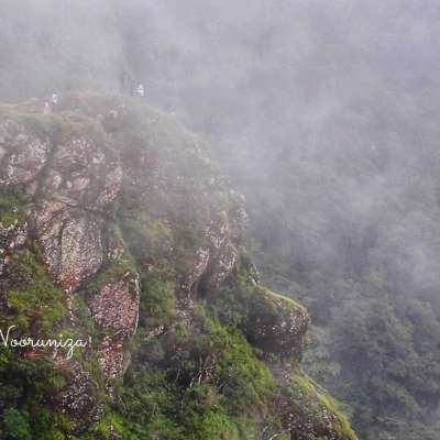 മഞ്ഞിൽ കുളിച്ച്‌ പരുന്തുംപാറ 