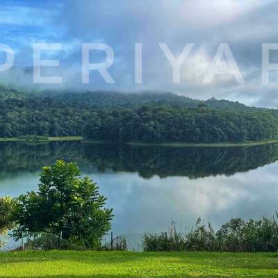 Lake palace, Thekkady- കാടിനും കായലിനും നടുവീലുള്ള കൊട്ടാരം.