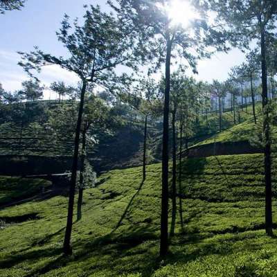 Vagamon