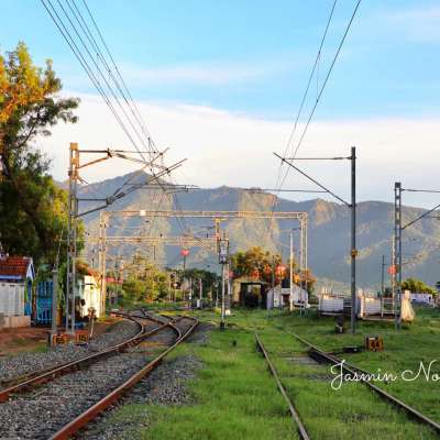 ഊട്ടിയിലേക്ക് ഒരു തീവണ്ടി യാത്ര🚃
