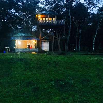 മുല്ലപെരിയാർ ഡാമിനുള്ളിൽ തേക്കടി തടാകത്തിൽ  കൊടും കാടിനുള്ളിൽ മൃഗങ്ങളെ കണ്ടുകൊണ്ടു ഒരു ദിവസം  ഏറുമാടത്തിൽ താമസിക്കാം ..