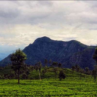 മഞ്ഞും, തണുപ്പും, പ്രകൃതി സൗന്ദര്യവും ഒരുമിക്കുന്ന കൂനൂരിന്റെ കാഴ്ചകളിലേക്ക്