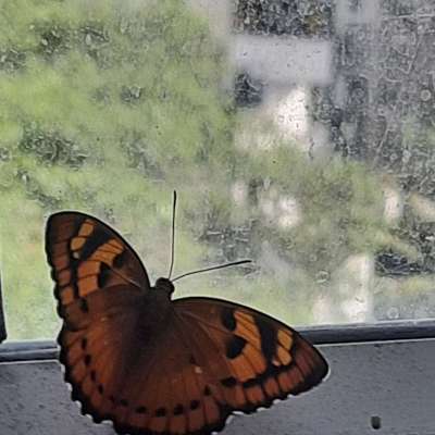 Luck in Disguise...Would that be traveling??