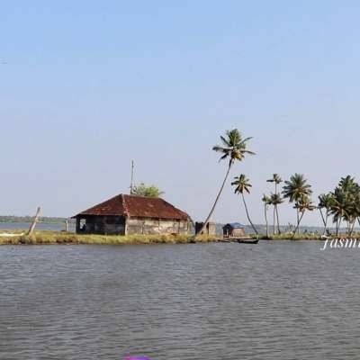 വീരൻപുഴ - നെടുങ്ങാട്