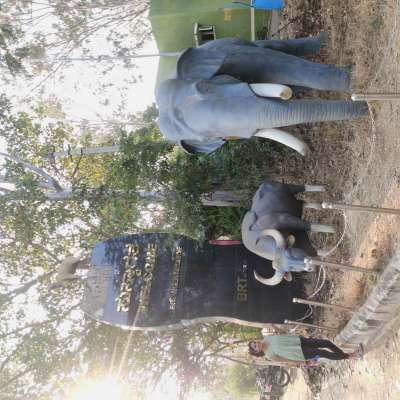 BR Hills - Weekend Getaway from Bangalore