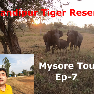 Bandipur Tiger Reserve