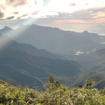 In the admist of golden rays - Kolukkumala hill top