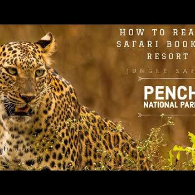 Pench Turia