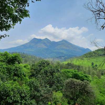 Trip to Wayanad The hill district of Kerela. 