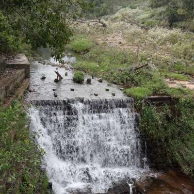 മഞ്ചൂർ ,നീലഗിരി ,തമിഴ്‌നാട് 