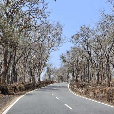 3 മണിക്കൂറിൽ 3 സംസ്ഥാനങ്ങളും 3 കാടുകളും കടന്ന് ഒരു ബന്ദിപ്പൂർ സഫാരി