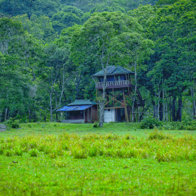 ....കാനന സൗന്ദര്യത്തിന്റെ അനുഭൂതിയിൽ അലിഞ്ഞ് ഇടപാളയം വാച്ച് ടവർ