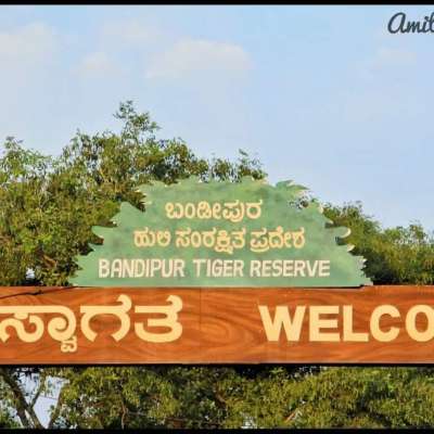 🐯The Wilderness of Bandipur🐯