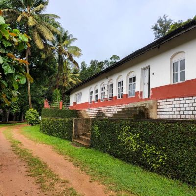 A 'Linger'ing Short trip at Balur Coffee Estate, Chikmagaluru