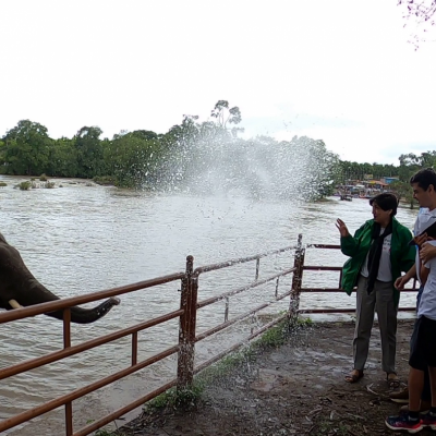 Dubare Elephant Camp, Golden Temple and Nisargdhama Park - Places to see in Coorg