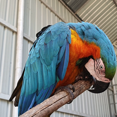 Peeku Park - A must visit place in Yercaud