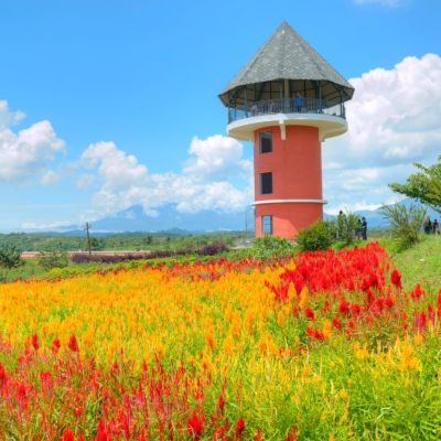 A gem of the Western Ghat