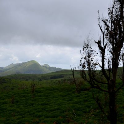  Serenity in Nature's Paradise