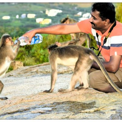 കഴുകൻ മലയിലെ ജൈന കിടക്കകൾ