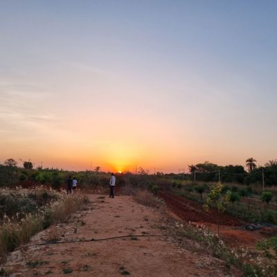 Akshaykalpa Farm stay 