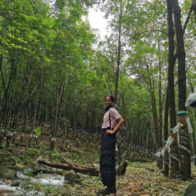 Chimmini Dam – A journey much more enchanting than the destination itself!