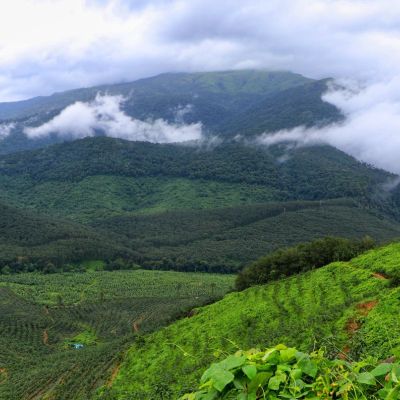 മഞ്ഞിൽ കുളിച്ഛ് ഒരു കുട്ടിക്കാനം യാത്ര 