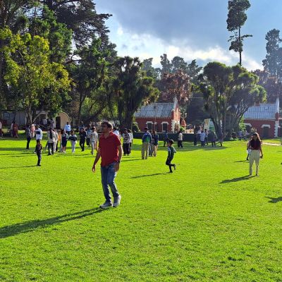 Through Mowgli’s Eyes: Misty Trails and Wild Whispers