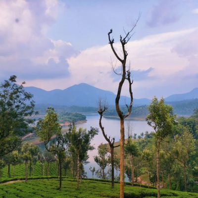 പെരിയാറിൻ്റെ തീരം തൊട്ട്  ഡാമുകൾ ചുറ്റിയോരു മൂന്നാർ യാത്ര #