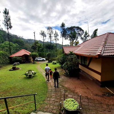 Held by the Hills: A Slow Journey Through Coorg